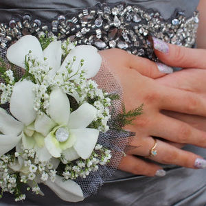 Meet your Posher, Desmond